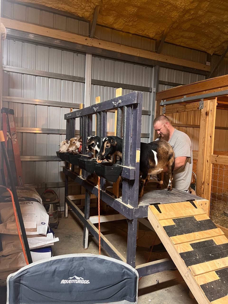 Milking the does